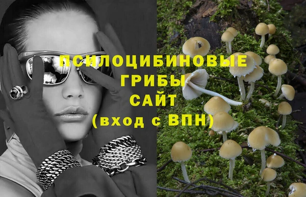 твердый Пенза