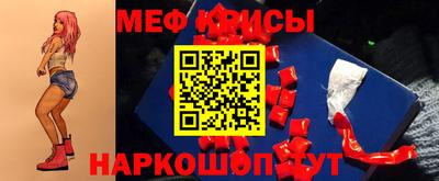 стафф Гатчина