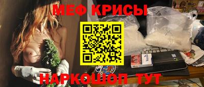 стафф Гатчина