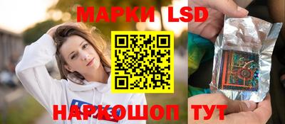 стаф Гай