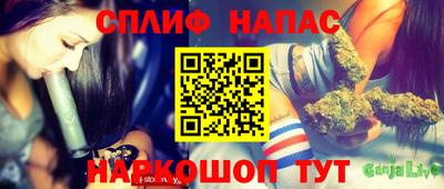 стаф Гай