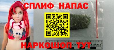 стафф Гатчина