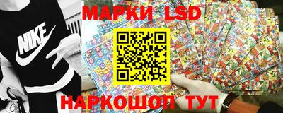 стафф Гатчина