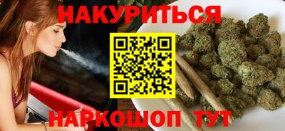 стафф Гатчина