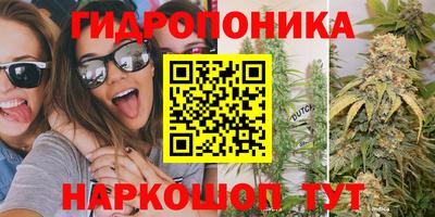 стаф Гагарин