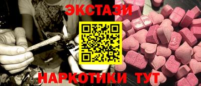 стаф Гай