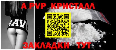 стафф Гатчина