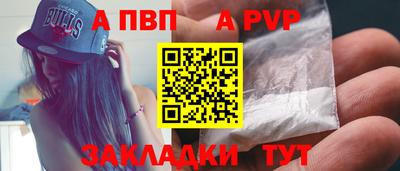 стаф Гай