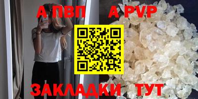 стаф Гай