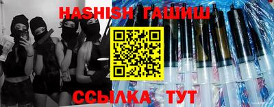 стаф Гай
