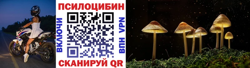 Псилоцибиновые грибы ЛСД  Дубна 