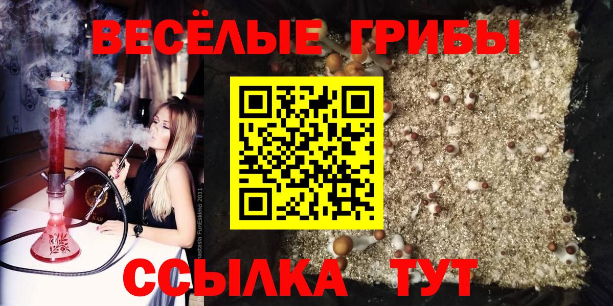 Псилоцибиновые грибы ЛСД  Дубна  Галлюциногенные грибы мицелий 