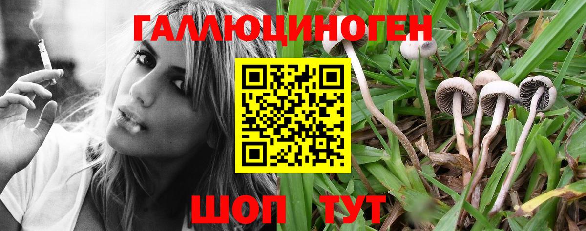 Галлюциногенные грибы GOLDEN TEACHER  Вход с VPN  Дубна 