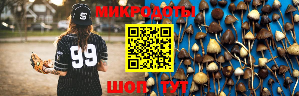 Галлюциногенные грибы Psilocybe Дубна